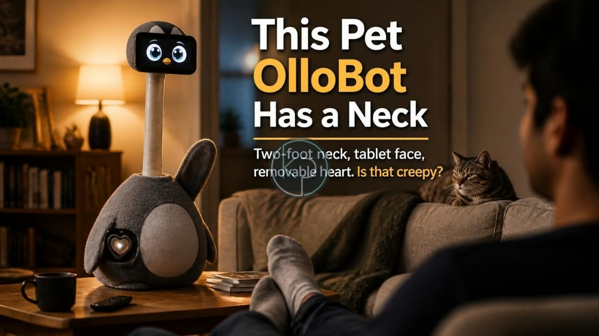 This OlloBot Has a Two-Foot Neck and a Myers-Briggs Personality