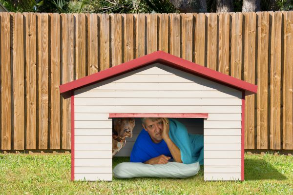 National Get Out of the Dog House Day