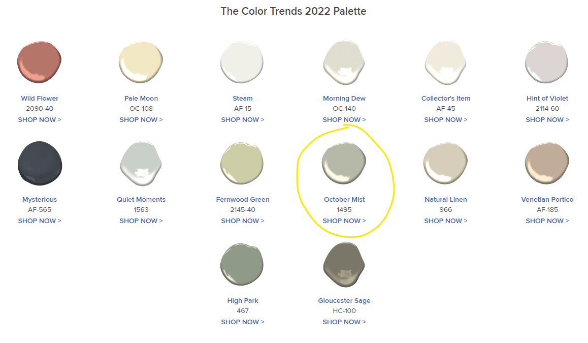 2022 Color of the Year - October Mist 1495