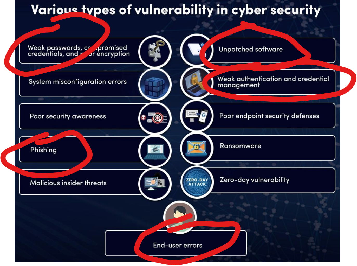 Cyber Security Vulnerabilities