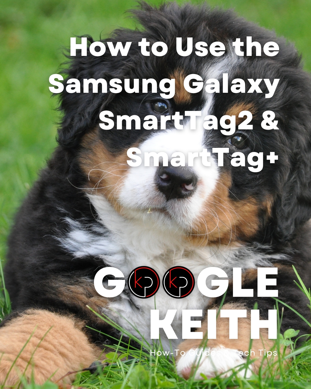 How to Use the Samsung Galaxy SmartTag2 and SmartTag+