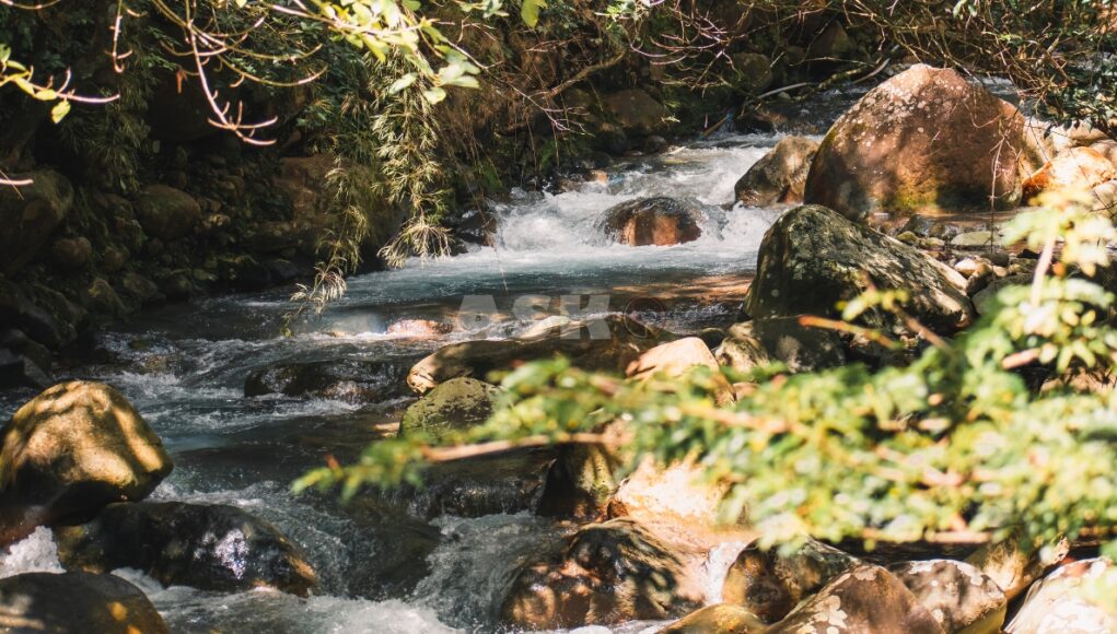 5 Smart Strategies to Prevent Cash Flow Crises