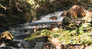 5 Smart Strategies to Prevent Cash Flow Crises 5 Smart Strategies to Prevent Cash Flow Crises