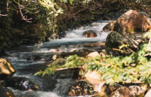 5 Smart Strategies to Prevent Cash Flow Crises 5 Smart Strategies to Prevent Cash Flow Crises