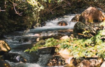 5 Smart Strategies to Prevent Cash Flow Crises
