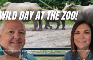 A Wild Day at the Virginia Zoo with Family Fun, Animal Encounters & Norfolk’s Wild Side A Wild Day at the Virginia Zoo with Family Fun, Animal Encounters & Norfolk's Wild Side