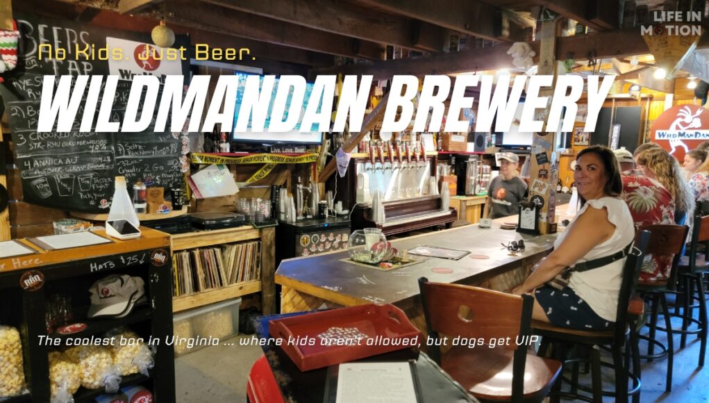 WildManDan, The Bar You Didn't Know You Needed (But Definitely Do)