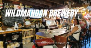WildManDan, The Bar You Didn't Know You Needed (But Definitely Do)