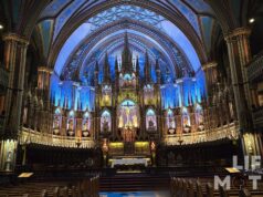 A Visit to Basilique Notre-Dame Montréal Beneath Winter’s Breath A Visit to Basilique Notre-Dame Montréal Beneath Winter's Breath