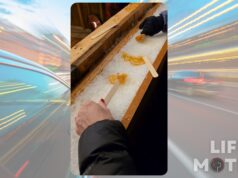 Frozen Maple Magic at Montréal’s Grand Marché de Noël Frozen Maple Magic at Montréal's Grand Marché de Noël