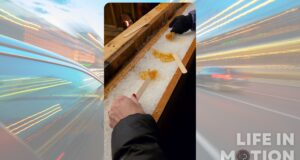 Frozen Maple Magic at Montréal’s Grand Marché de Noël Frozen Maple Magic at Montréal's Grand Marché de Noël