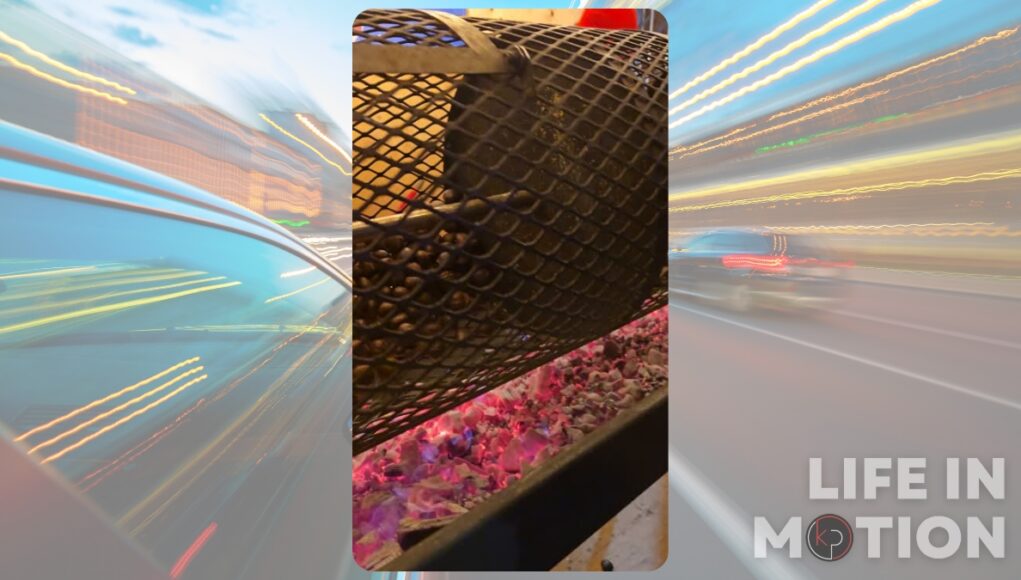 Roasting Chestnuts at the Grand Marché de Noël de Montréal